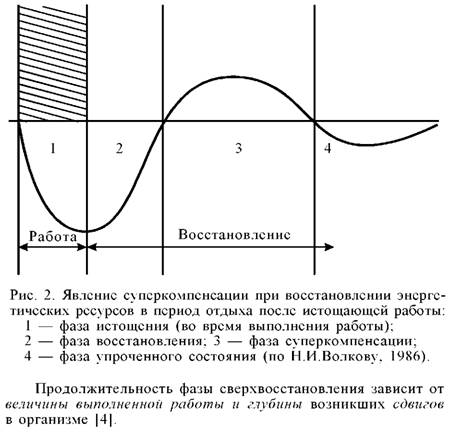 Утомление и восстановление при мышечной деятельности