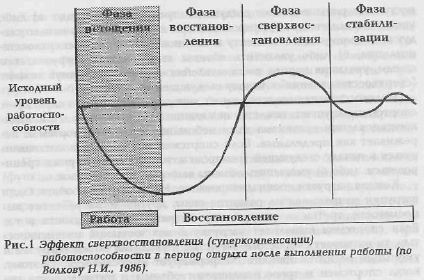 Байковский Ю.В. - "Основы спортивной тренировки"