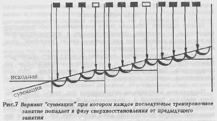Байковский Ю.В. - "Основы спортивной тренировки"