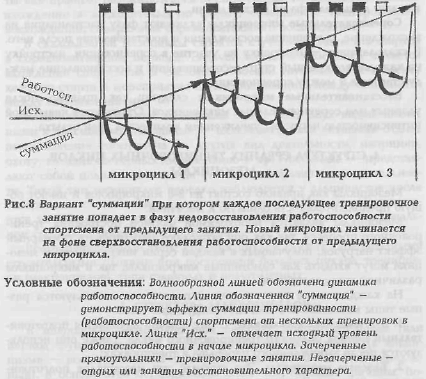 Байковский Ю.В. - "Основы спортивной тренировки"