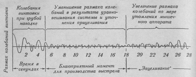 Принципиальная схема колебаний оружия в период производства выстрела