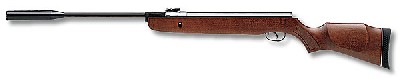   Gamo Hunter 1250