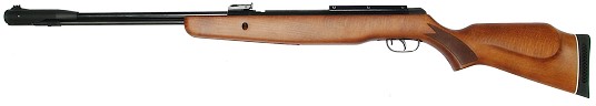   Gamo CFX Royal