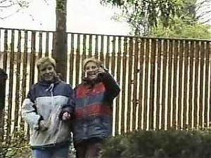 ������� ���� 1988 ���